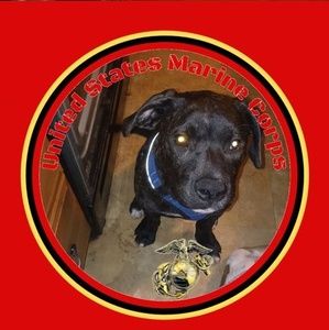 Meet your Posher, Debby